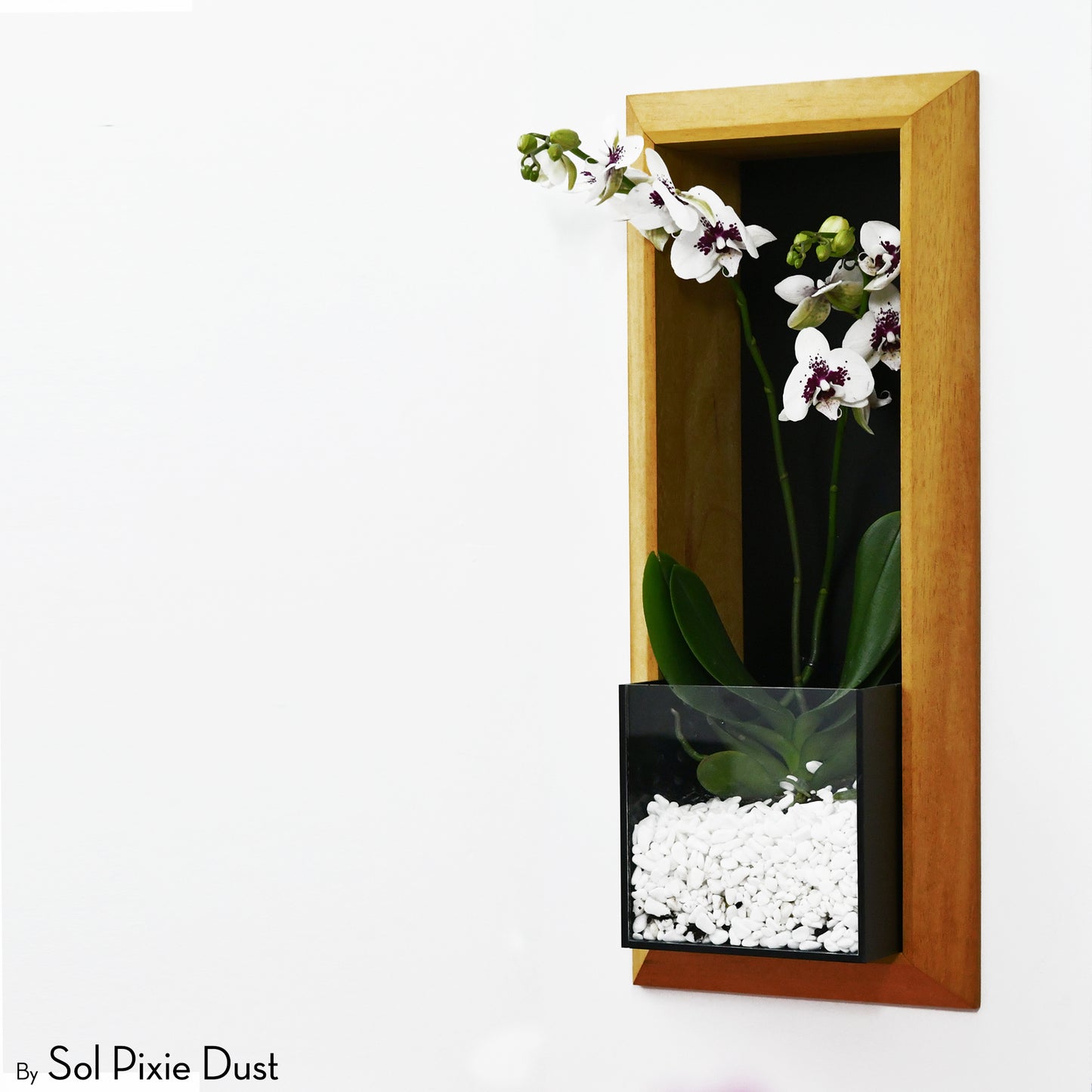 The "Living Frame" - Iroko Wood Planter
