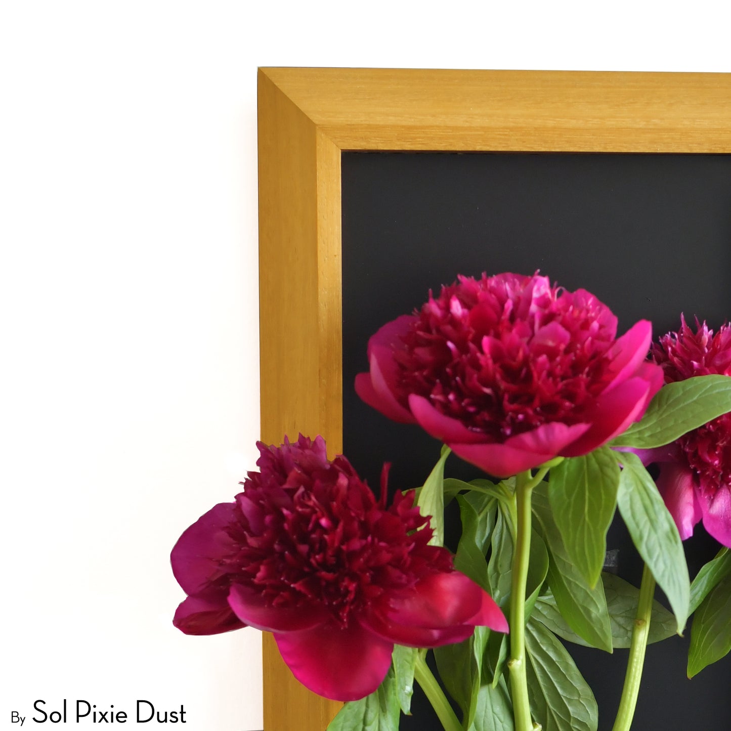 The "Living Frame" - Iroko Wood Planter
