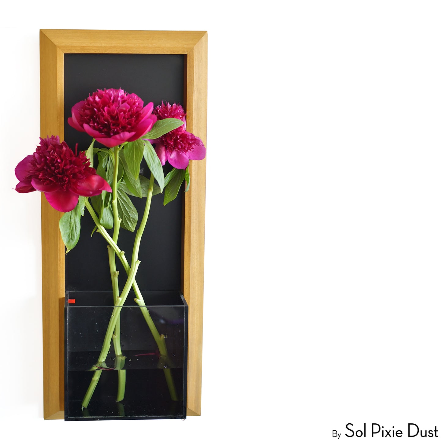 The "Living Frame" - Iroko Wood Planter