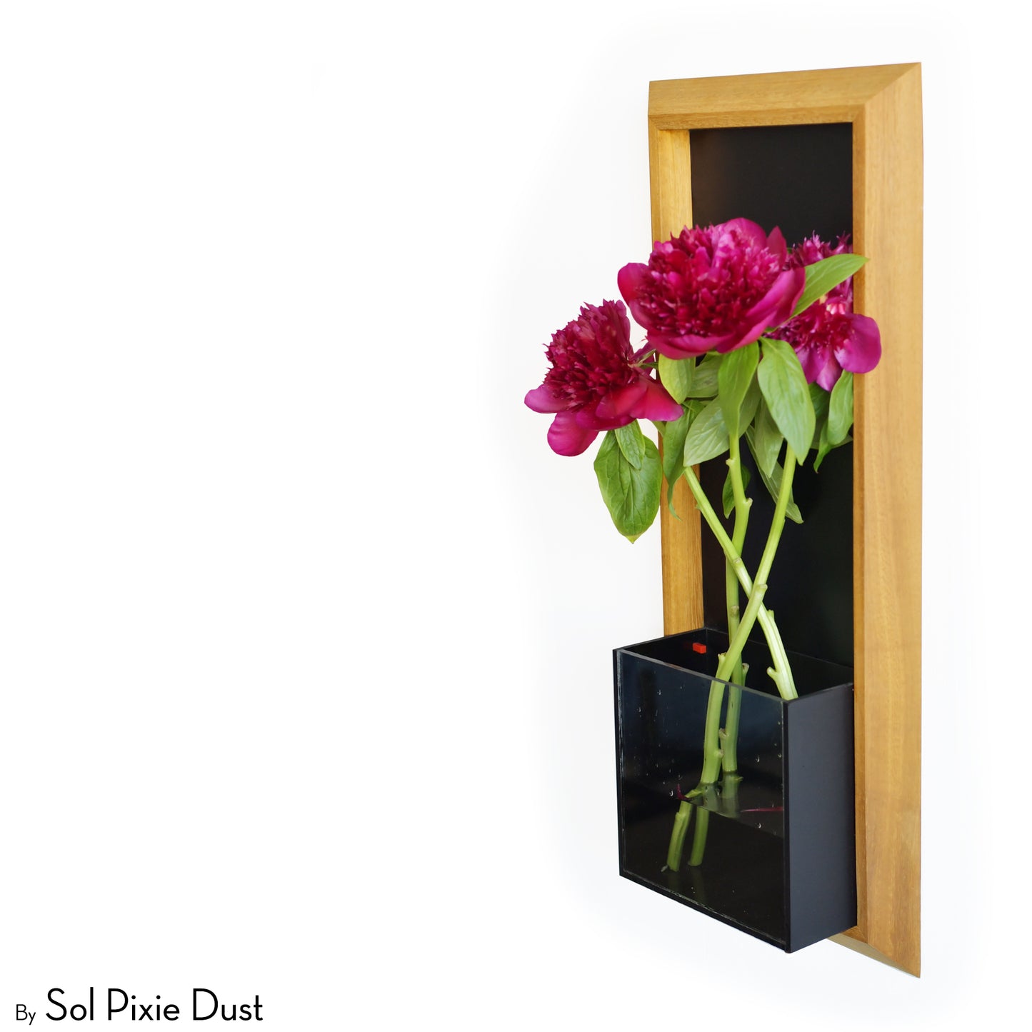 The "Living Frame" - Iroko Wood Planter