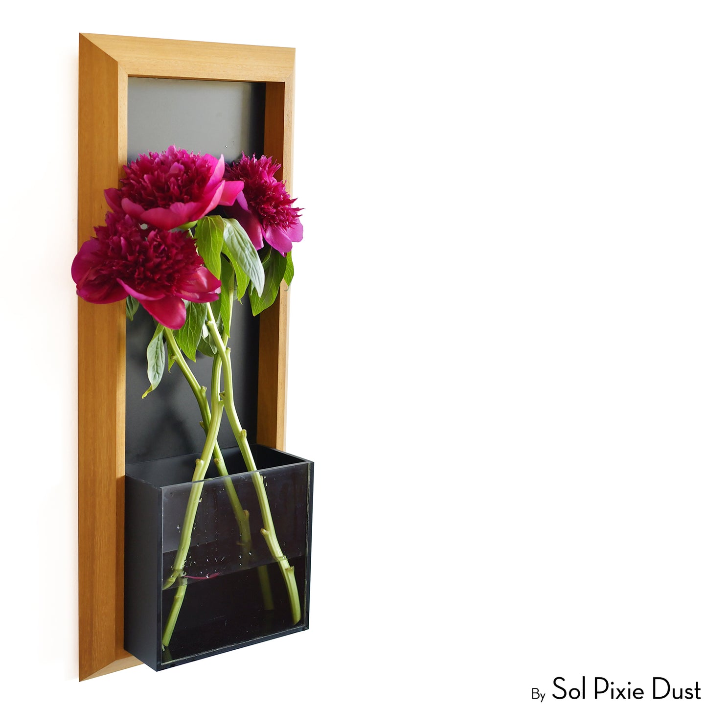 The "Living Frame" - Iroko Wood Planter