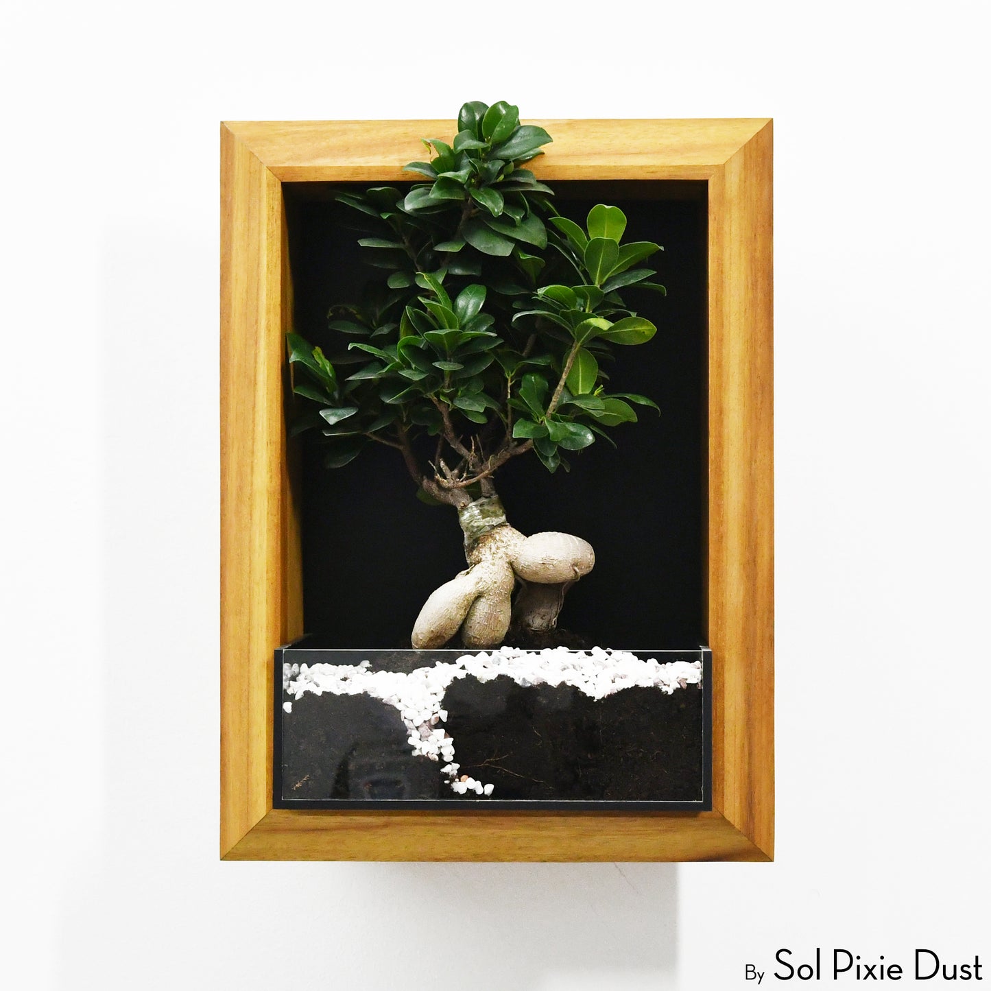 The "Living Frame" - Iroko Wood Planter & Wall Clock