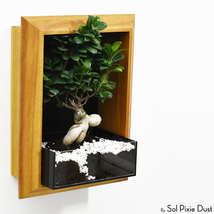 The "Living Frame" - Iroko Wood Planter & Wall Clock