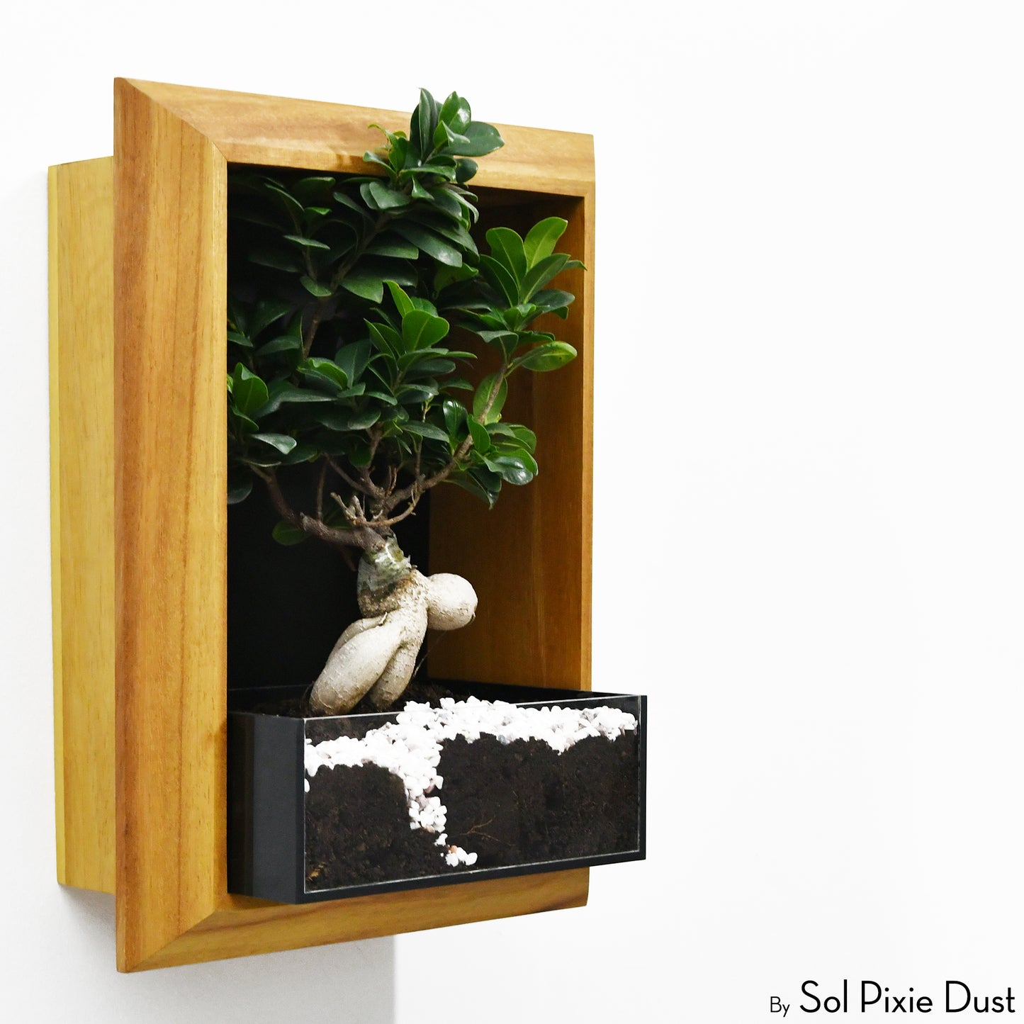 The "Living Frame" - Iroko Wood Planter & Wall Clock