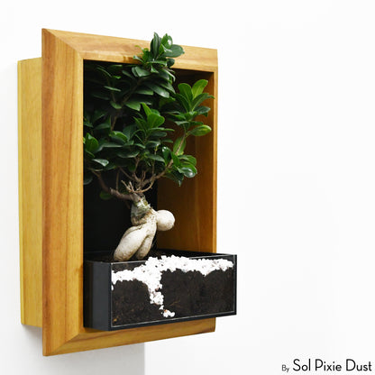 The "Living Frame" - Iroko Wood Planter & Wall Clock