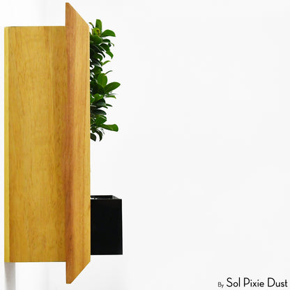 The "Living Frame" - Iroko Wood Planter