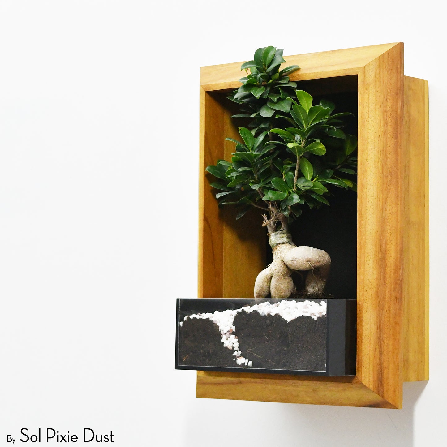 The "Living Frame" - Iroko Wood Planter & Wall Clock