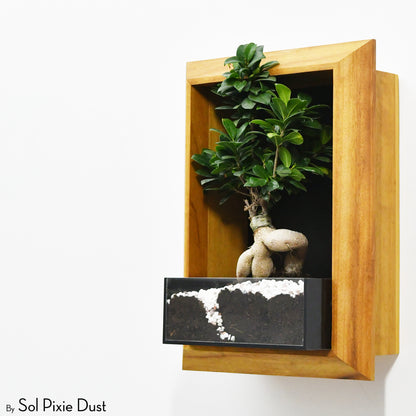 The "Living Frame" - Iroko Wood Planter & Wall Clock