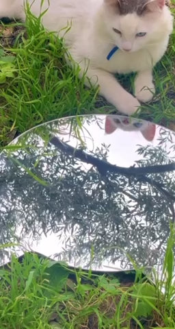 Kids Mirrors – Handmade Wall Mirrors with Safety Mirror
