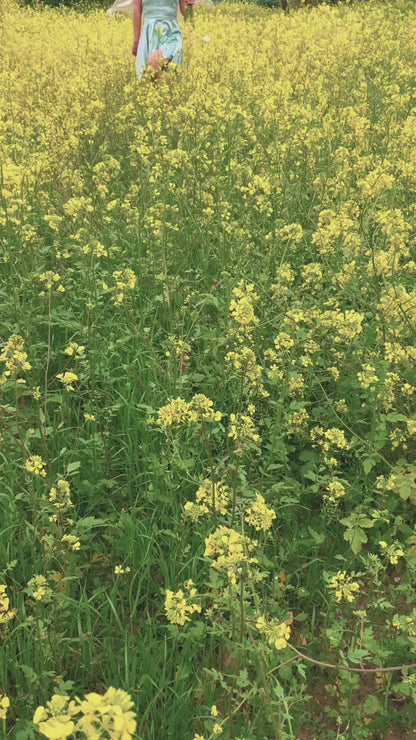 Wooden Tissue Box Covers